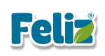 Logo Feliz_lettering op1